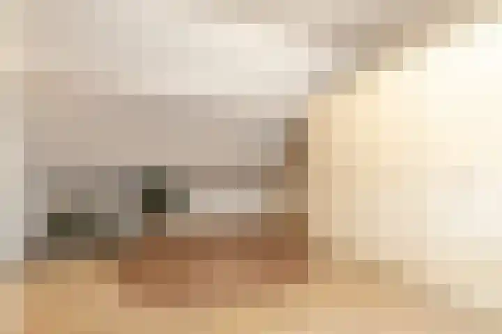 St.-Lambertusstraat 38 Cromvoirt thumbnail 33