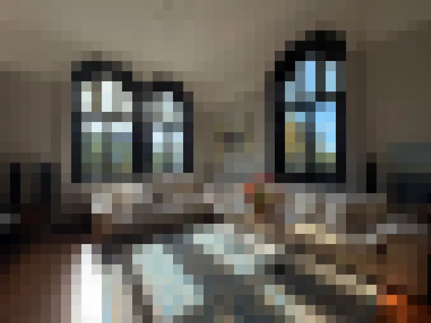 St.-Lambertusstraat 47 Cromvoirt thumbnail 10