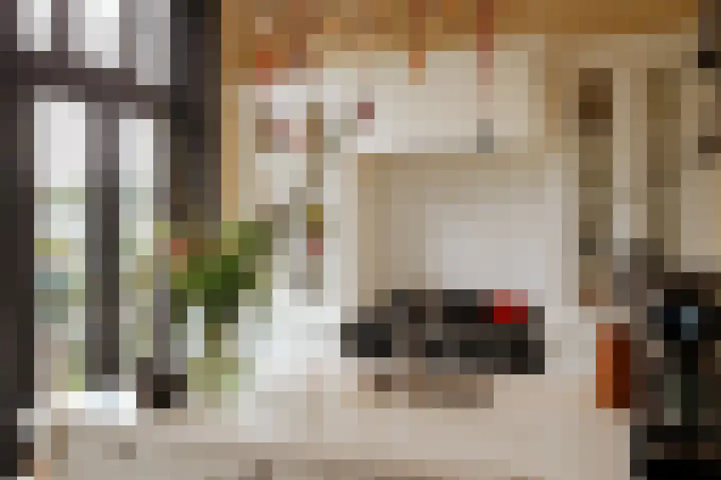 St.-Lambertusstraat 47 Cromvoirt thumbnail 18