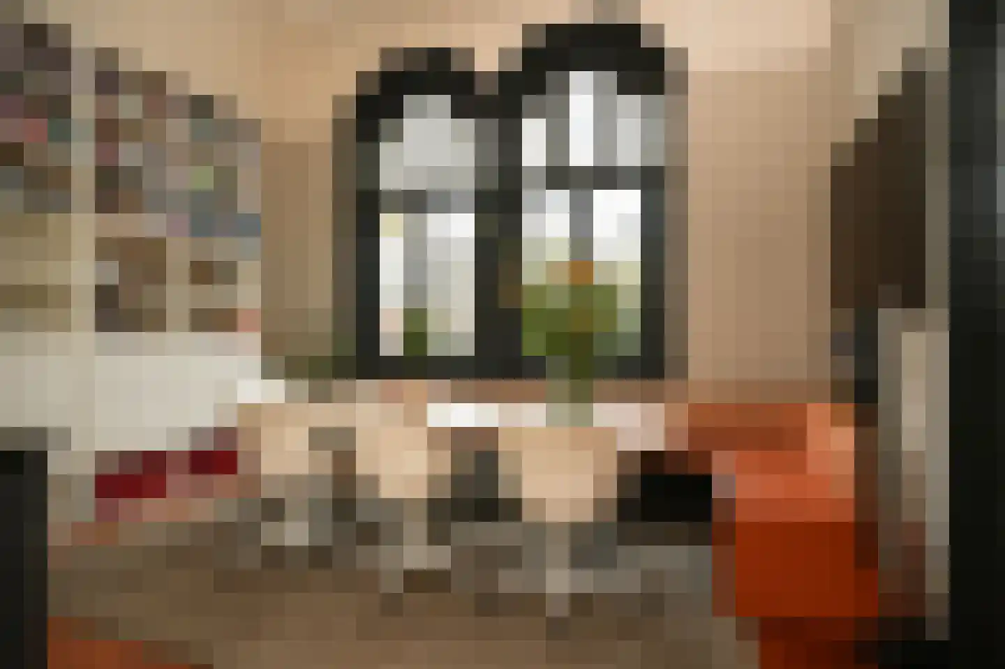 St.-Lambertusstraat 47 Cromvoirt thumbnail 20