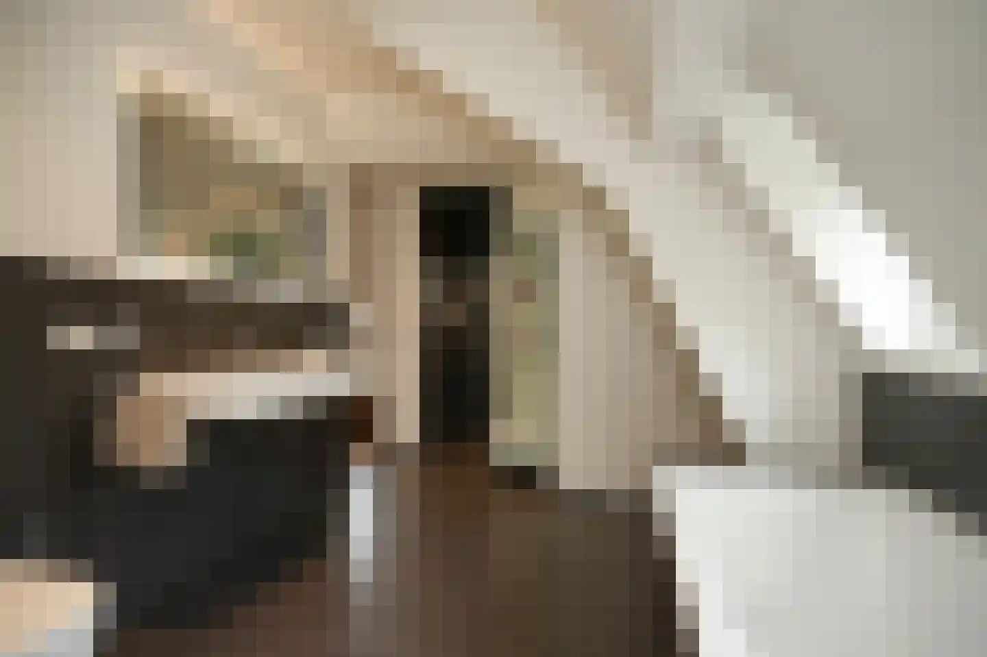 St.-Lambertusstraat 47 Cromvoirt thumbnail 29