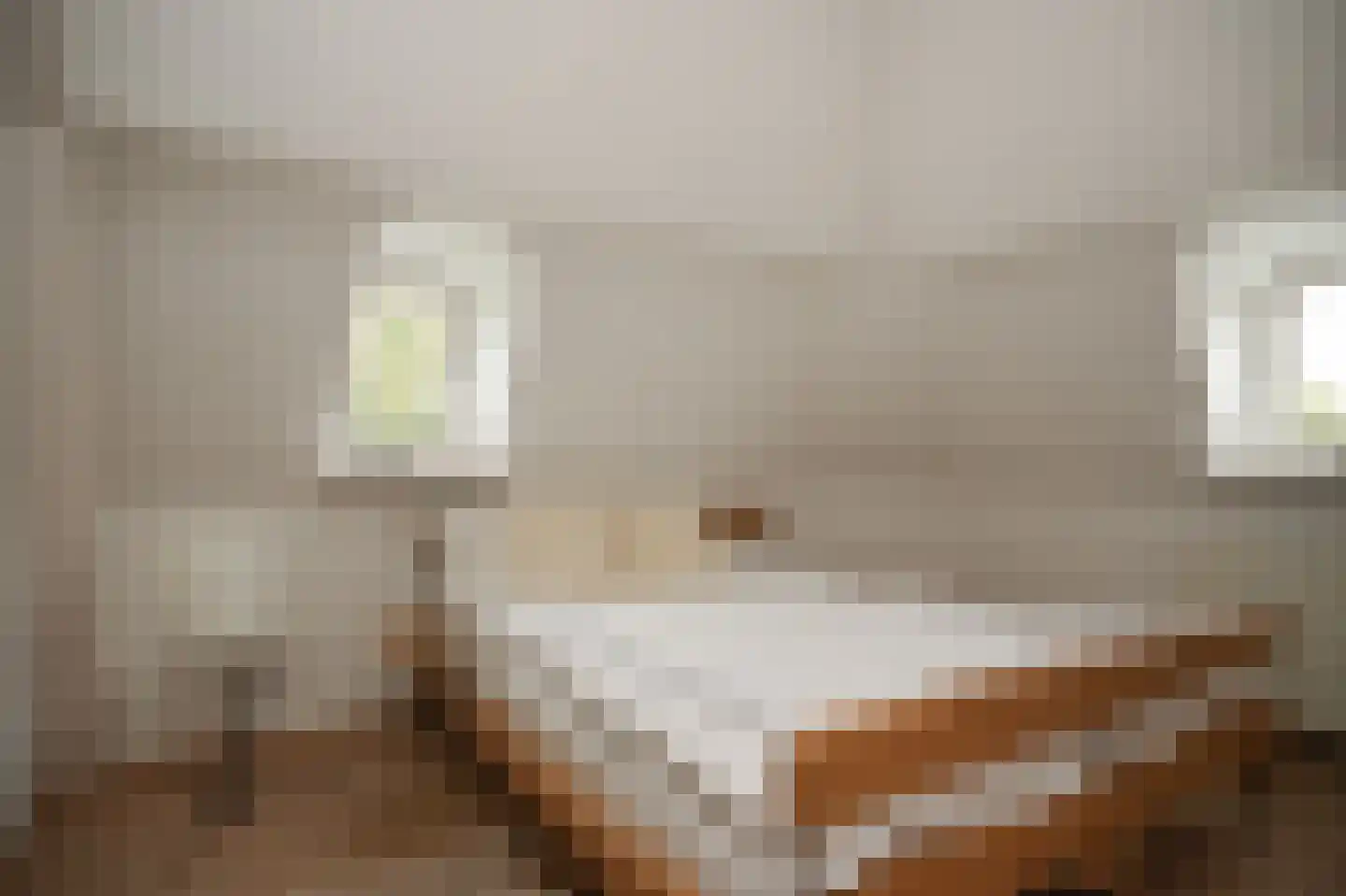 St.-Lambertusstraat 47 Cromvoirt thumbnail 33
