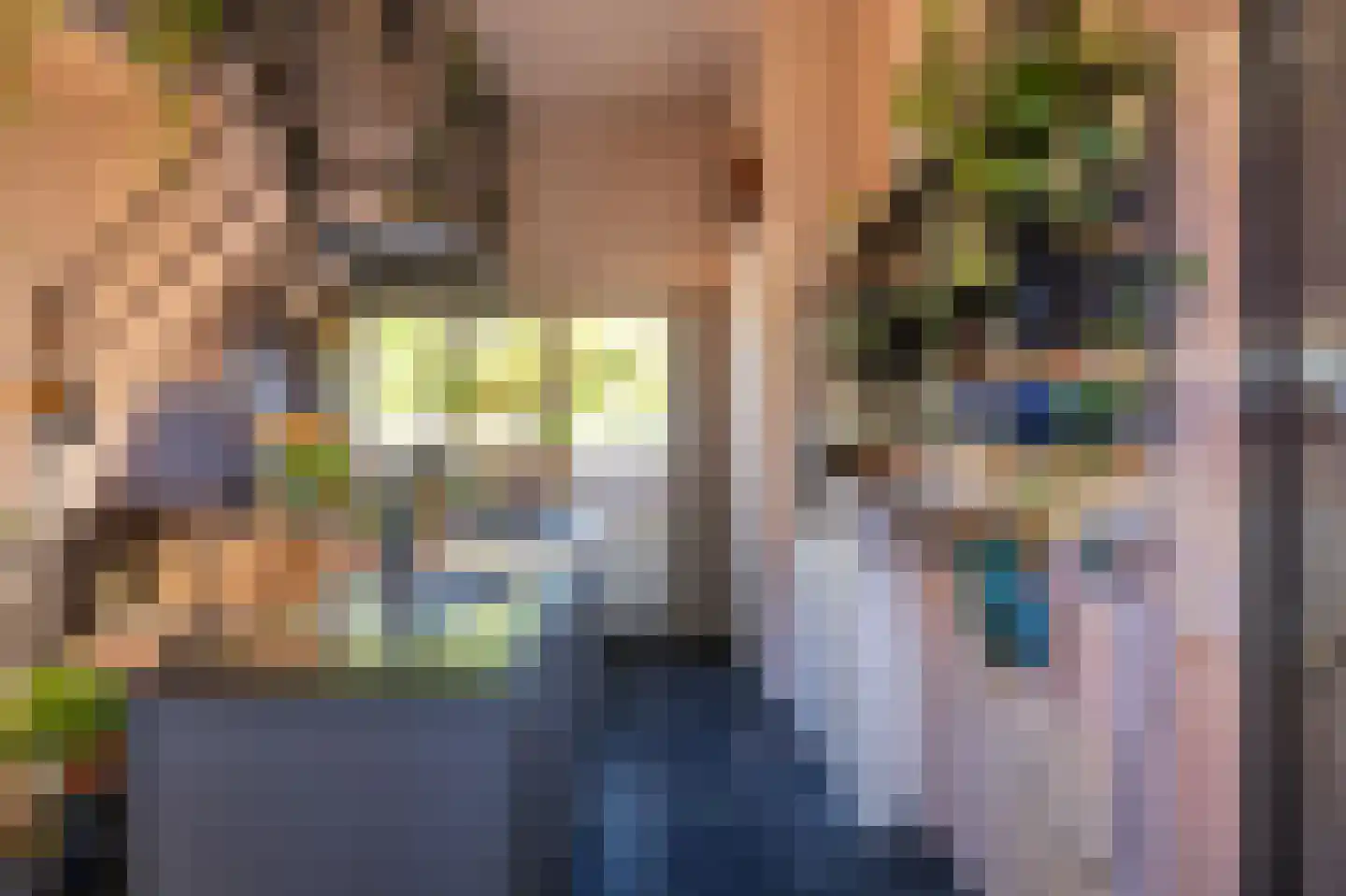 St.-Lambertusstraat 51 Cromvoirt thumbnail 51
