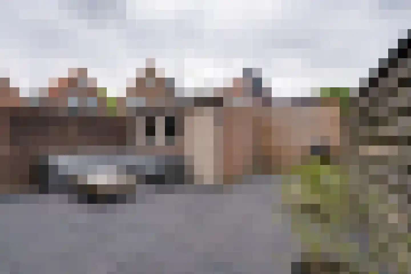 St Lambertusstraat 6 Volendam thumbnail 29