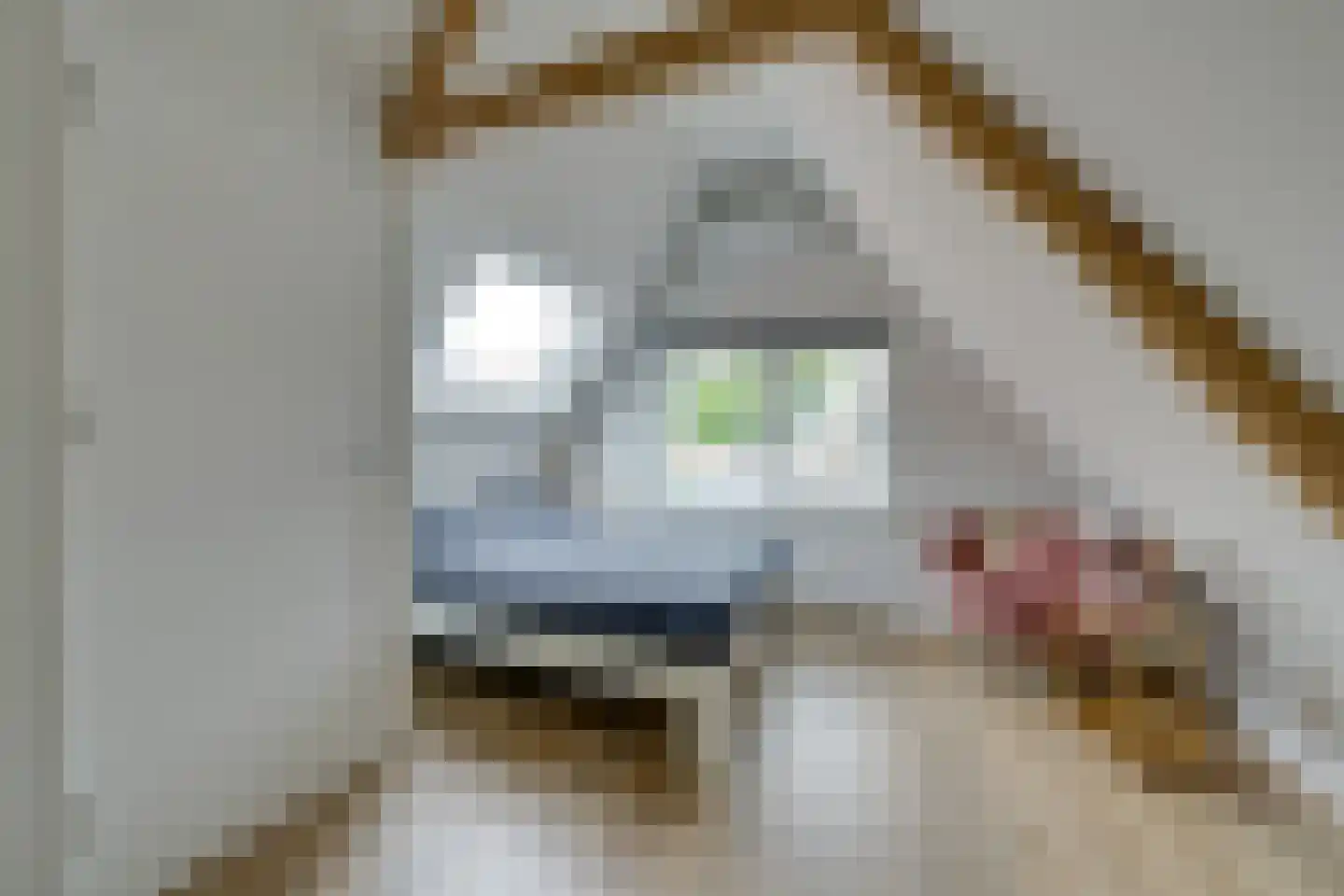 St Lambertusstraat 6 Volendam thumbnail 37