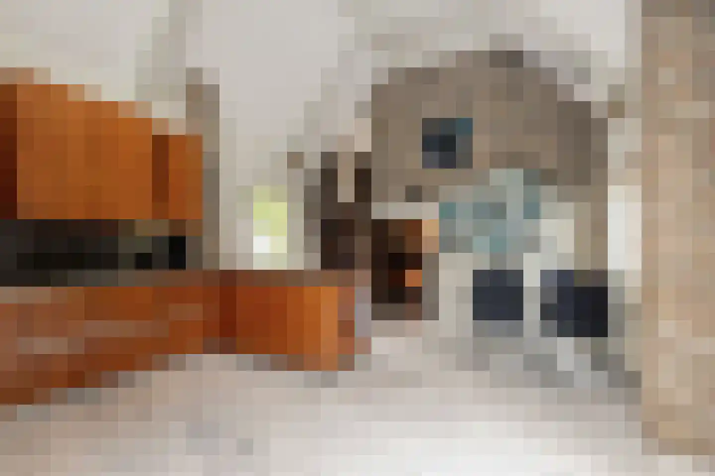 St.-Lambertusstraat 70 Cromvoirt thumbnail 18