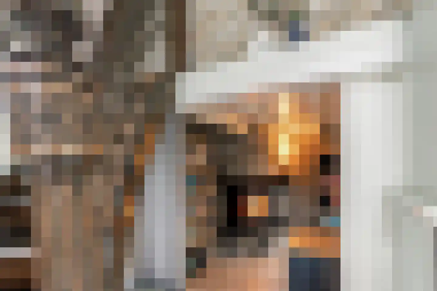 St.-Lambertusstraat 70 Cromvoirt thumbnail 22