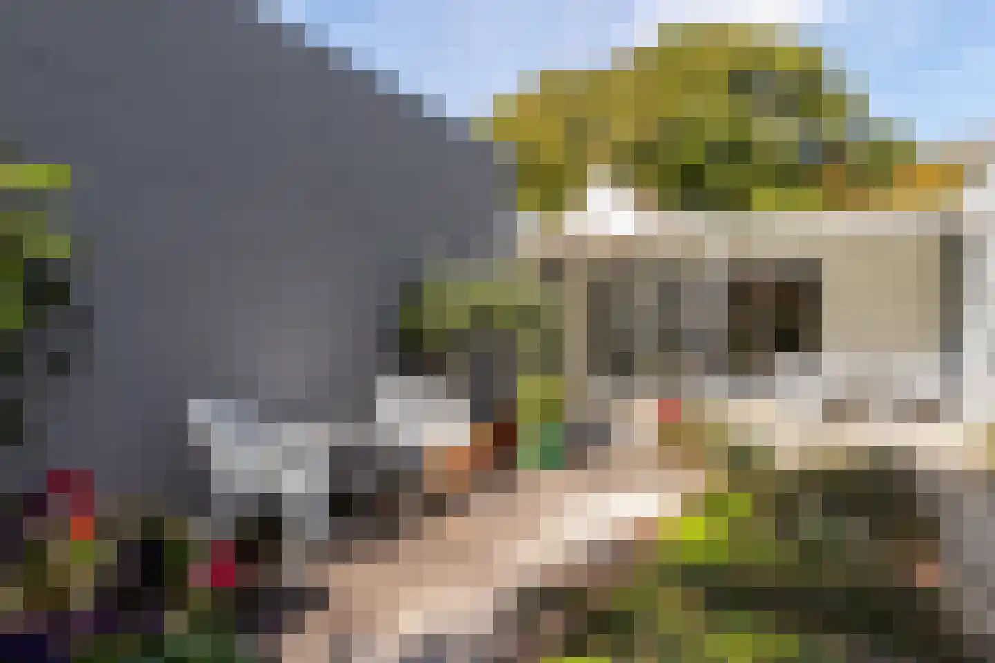 St.-Lambertusstraat 70 Cromvoirt thumbnail 42