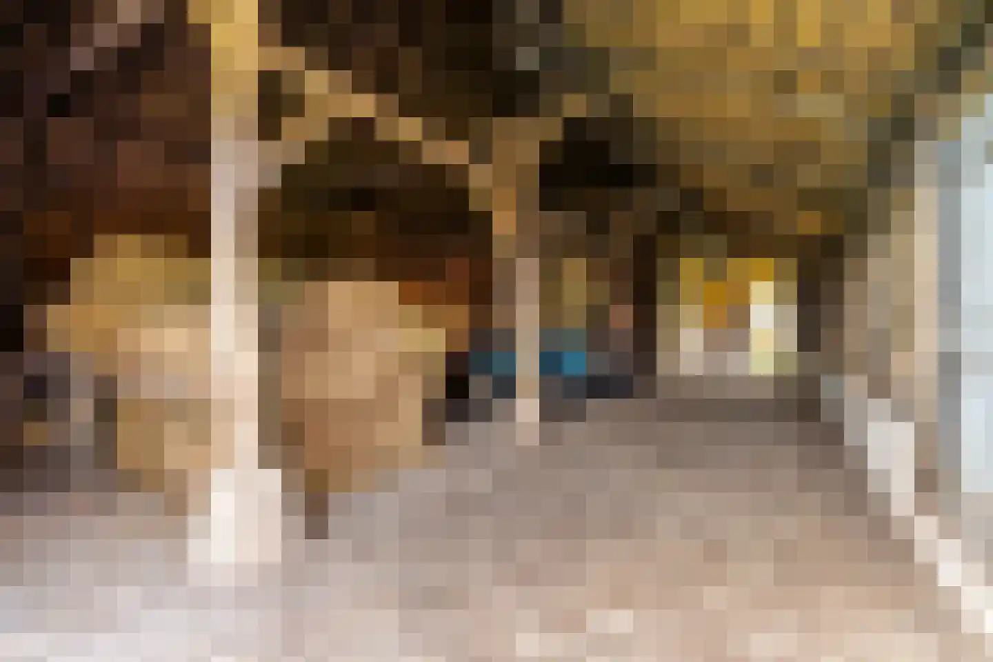 St.-Lambertusstraat 70 Cromvoirt thumbnail 49