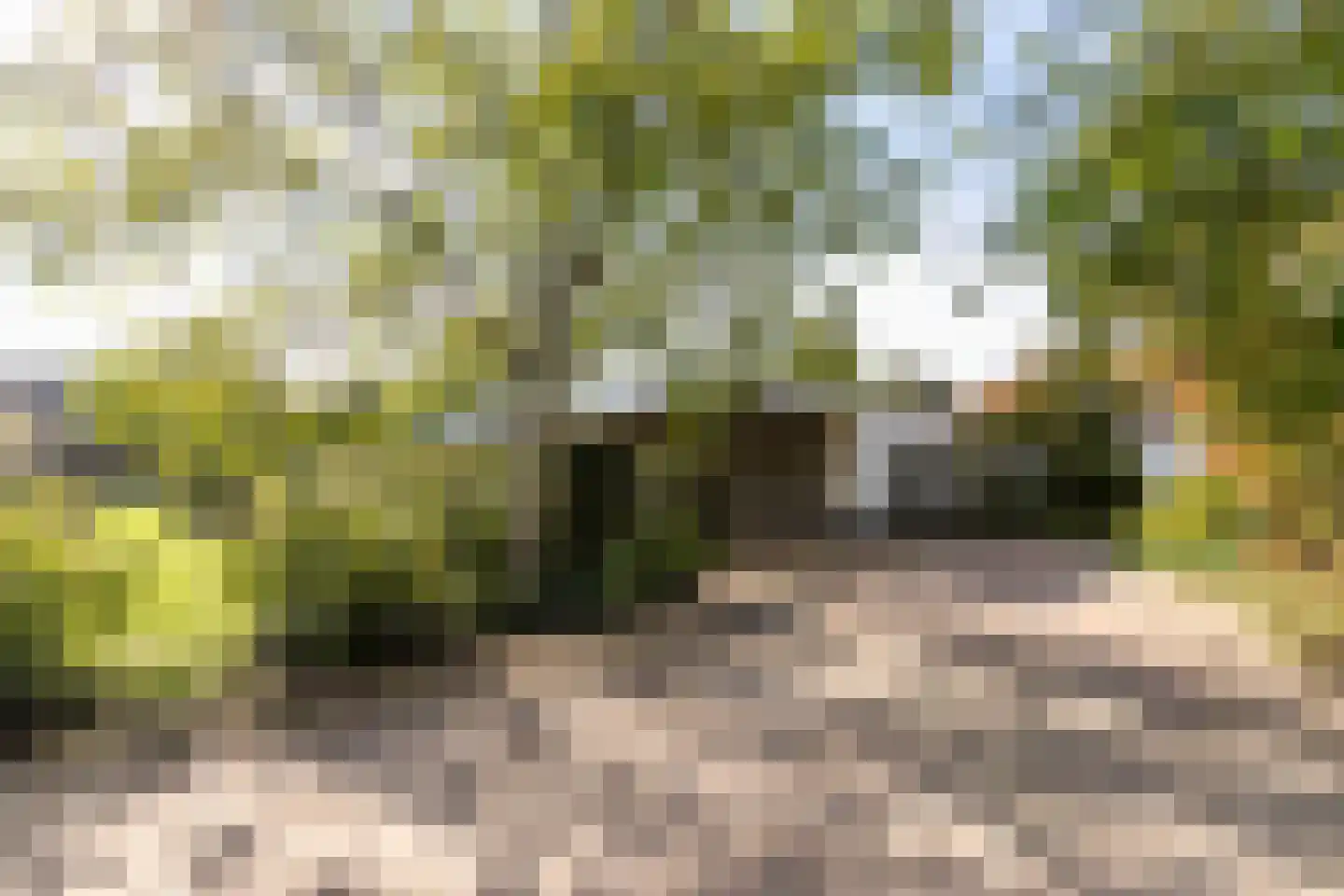 St.-Lambertusstraat 70 Cromvoirt thumbnail 5