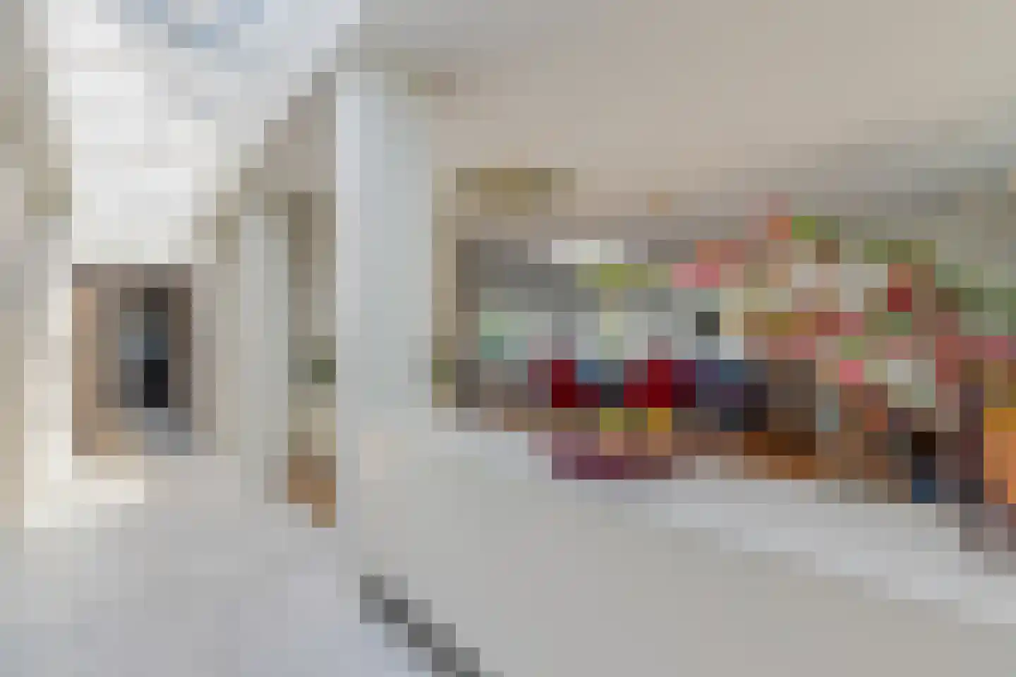 St.-Lambertusstraat 70 Cromvoirt thumbnail 9