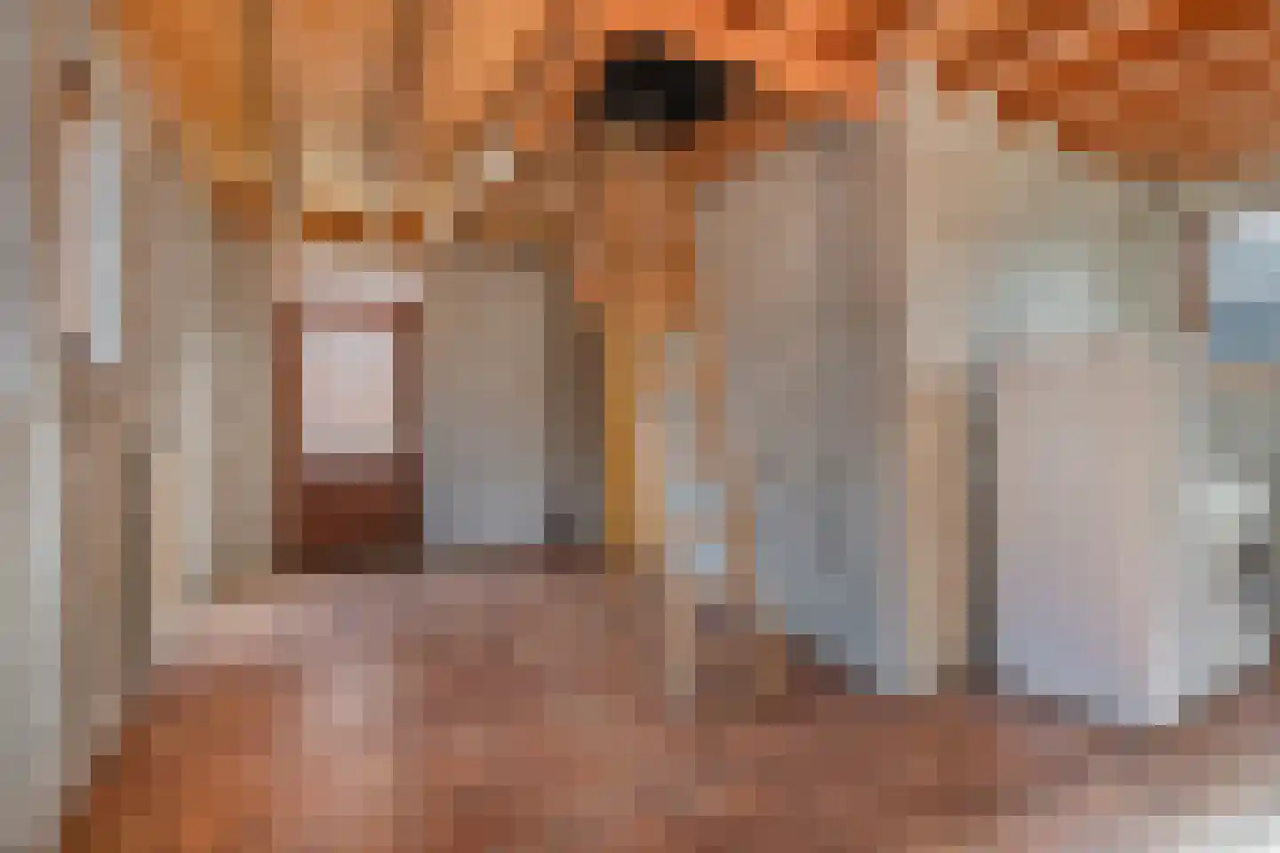 St.Lambertusweg 107 Gemonde thumbnail 24