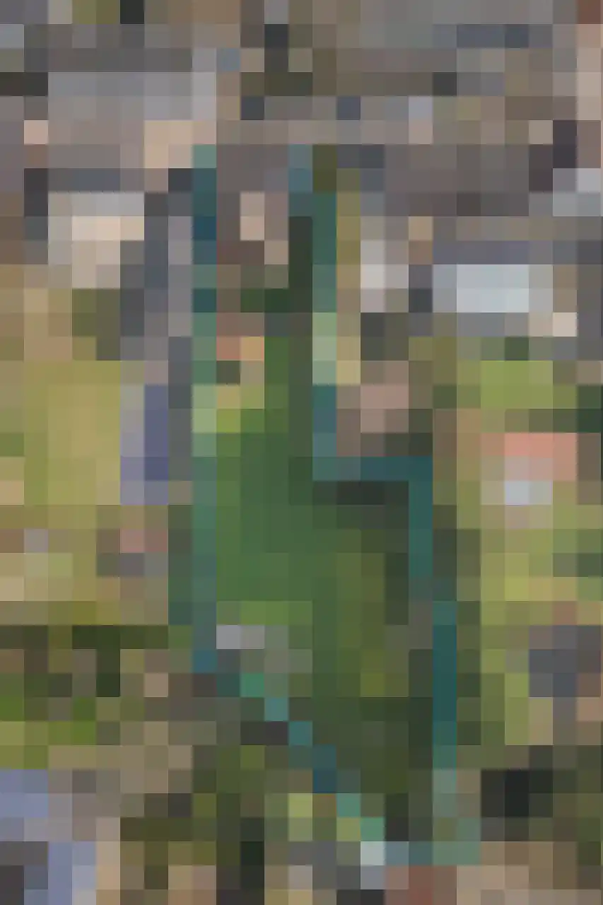 St.Lambertusweg 107 Gemonde thumbnail 40