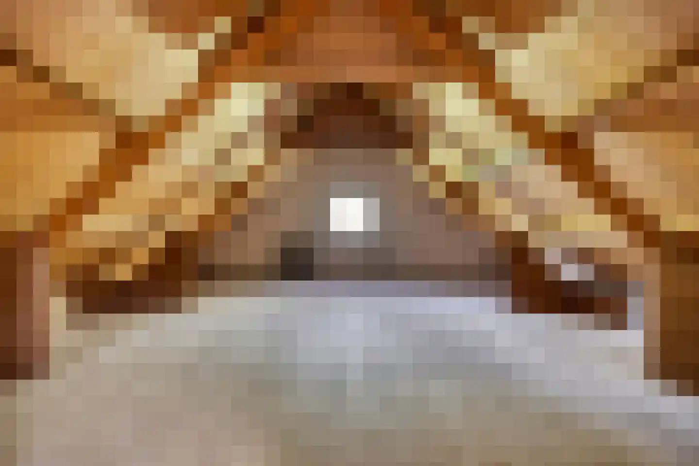 St.Lambertusweg 18 Gemonde thumbnail 41