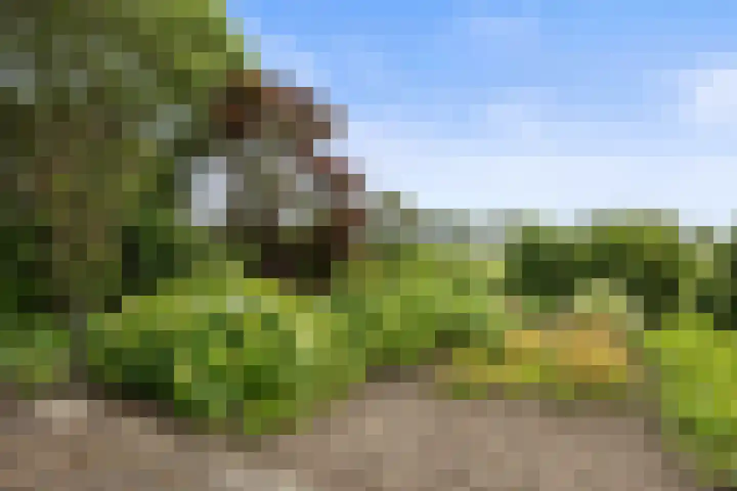 St.Lambertusweg 18 Gemonde thumbnail 46