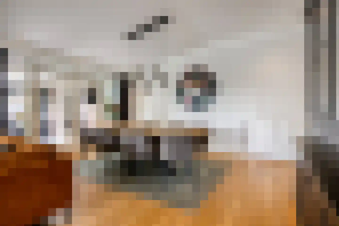 St.Lambertusweg 33 A Gemonde thumbnail 10