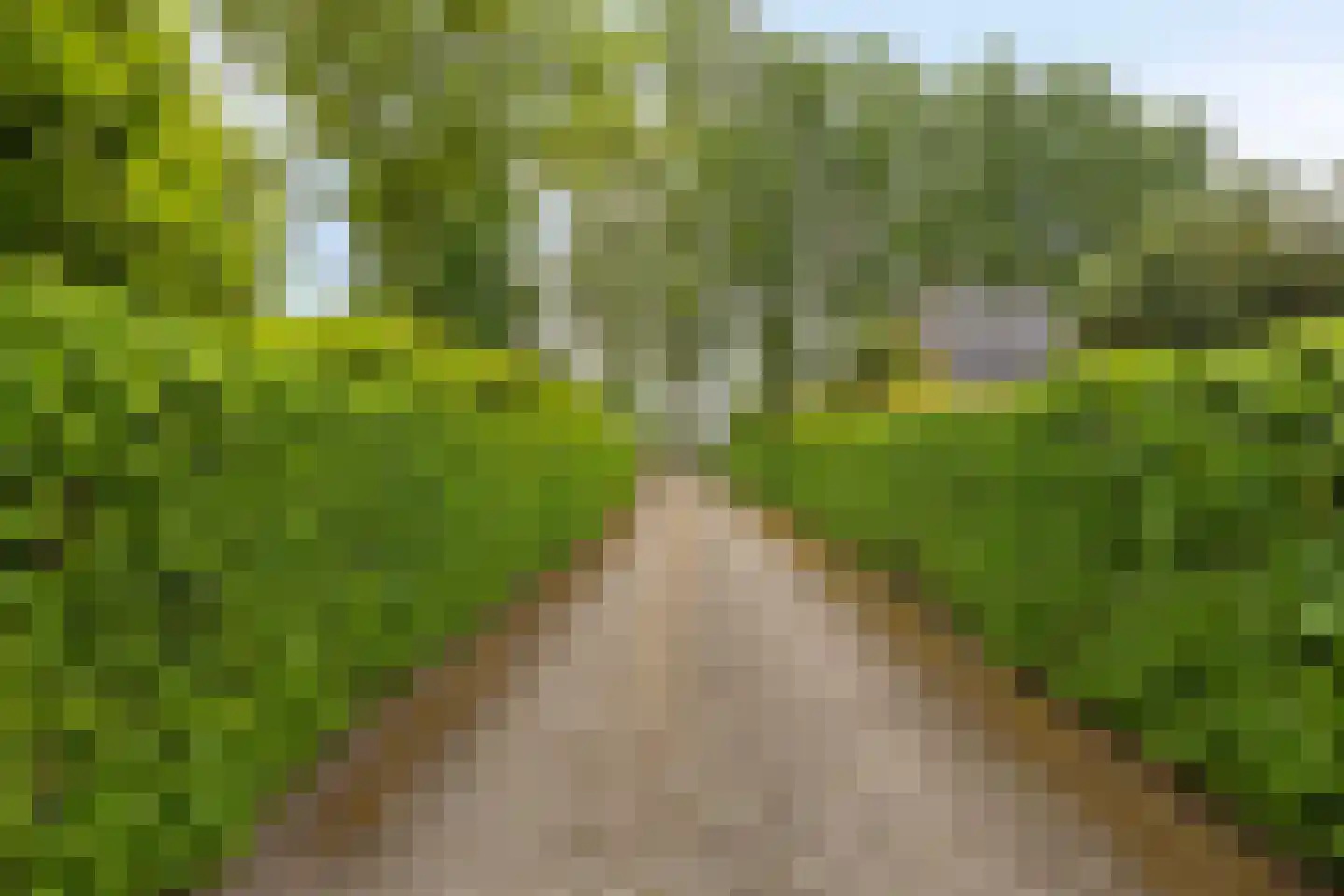 St.Lambertusweg 33 A Gemonde thumbnail 47