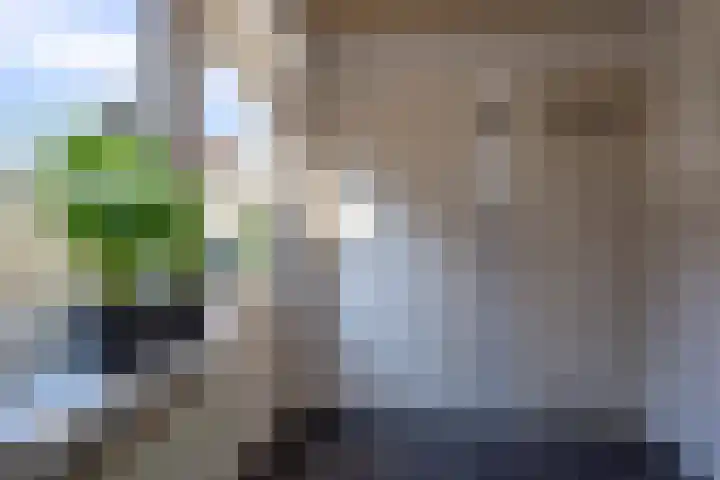 St.Lambertusweg 75 Gemonde thumbnail 15