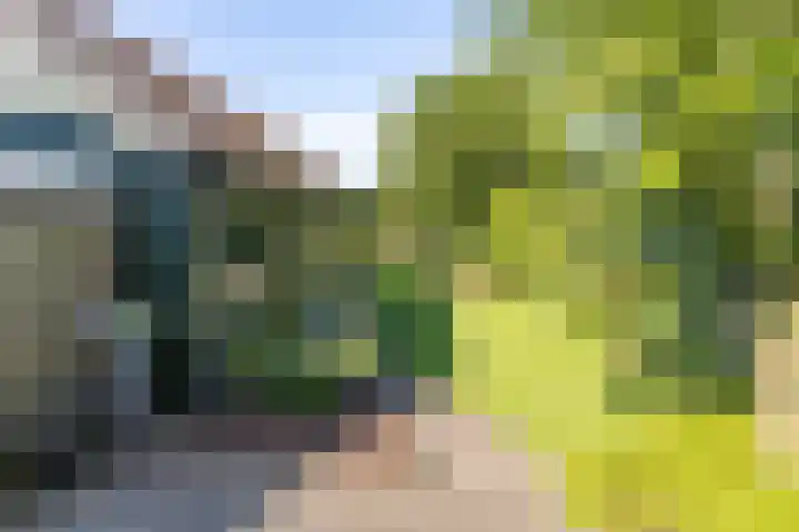 St.Lambertusweg 75 Gemonde thumbnail 30