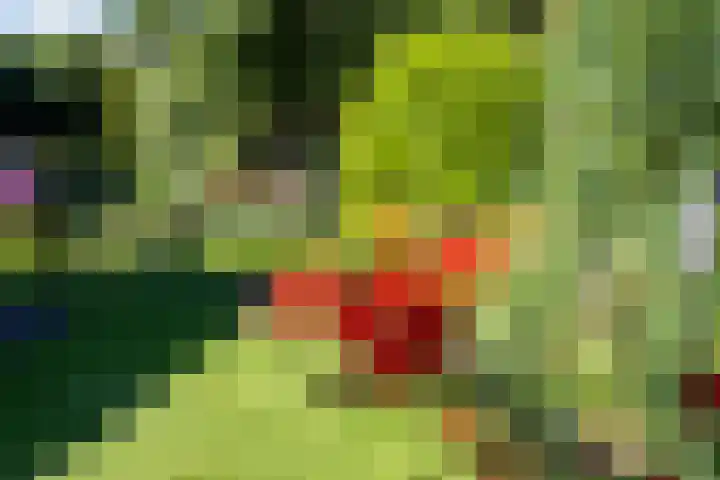 St.Lambertusweg 75 Gemonde thumbnail 31