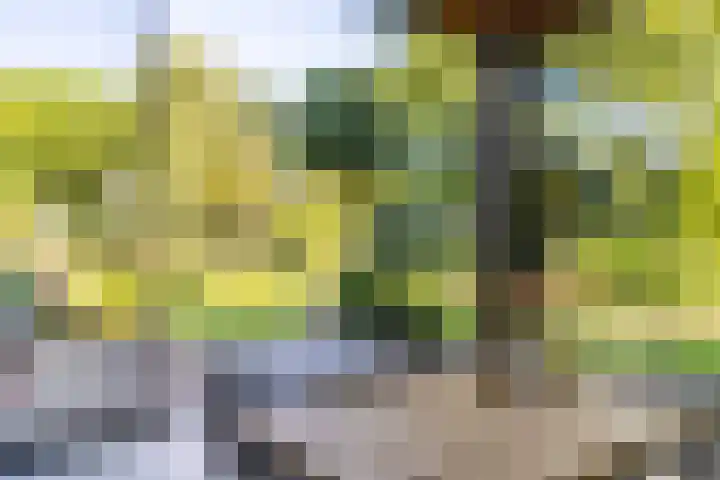 St.Lambertusweg 75 Gemonde thumbnail 37