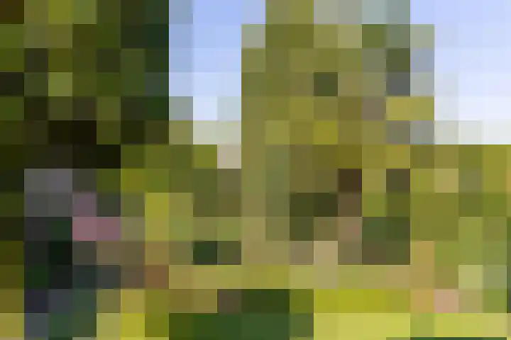 St.Lambertusweg 75 Gemonde thumbnail 38