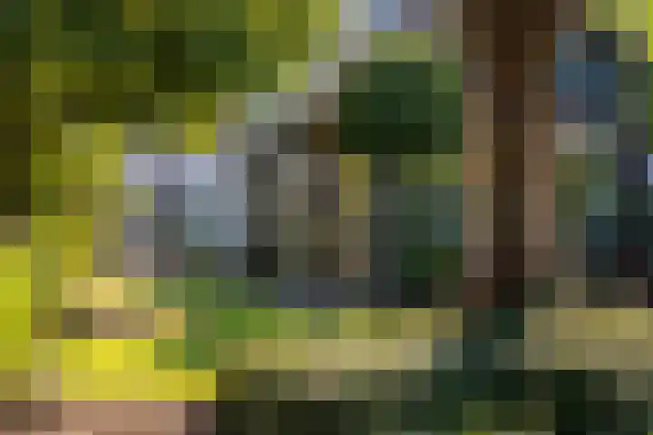 St.Lambertusweg 75 Gemonde thumbnail 39