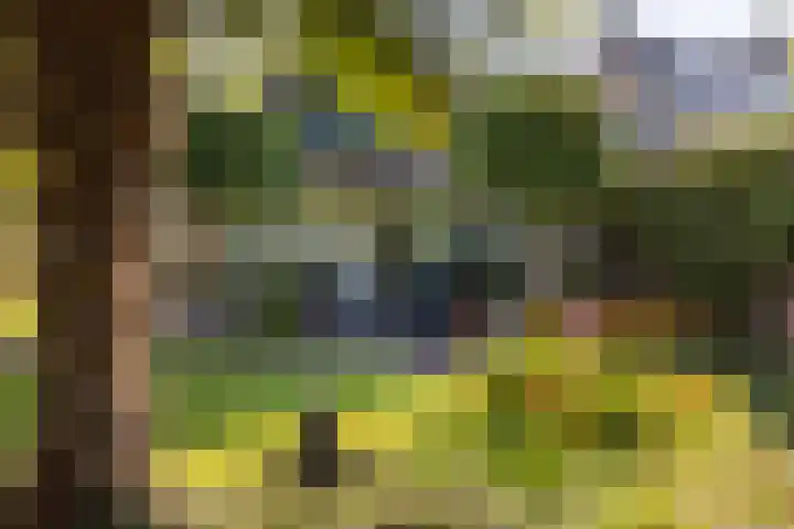 St.Lambertusweg 75 Gemonde thumbnail 5