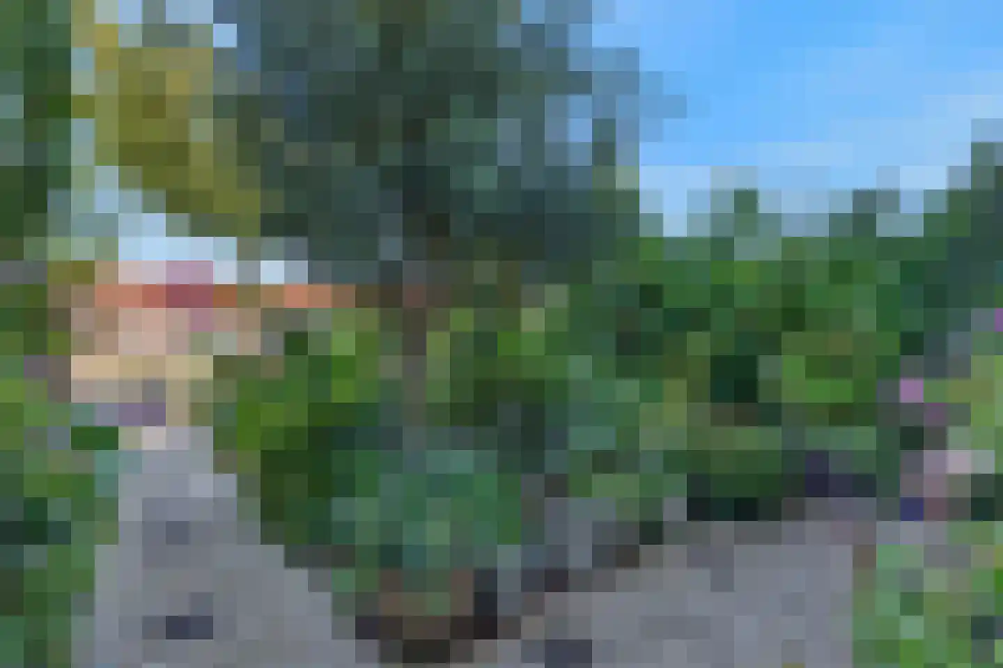 St. Laurentiuslaan 31 Arnhem thumbnail 23