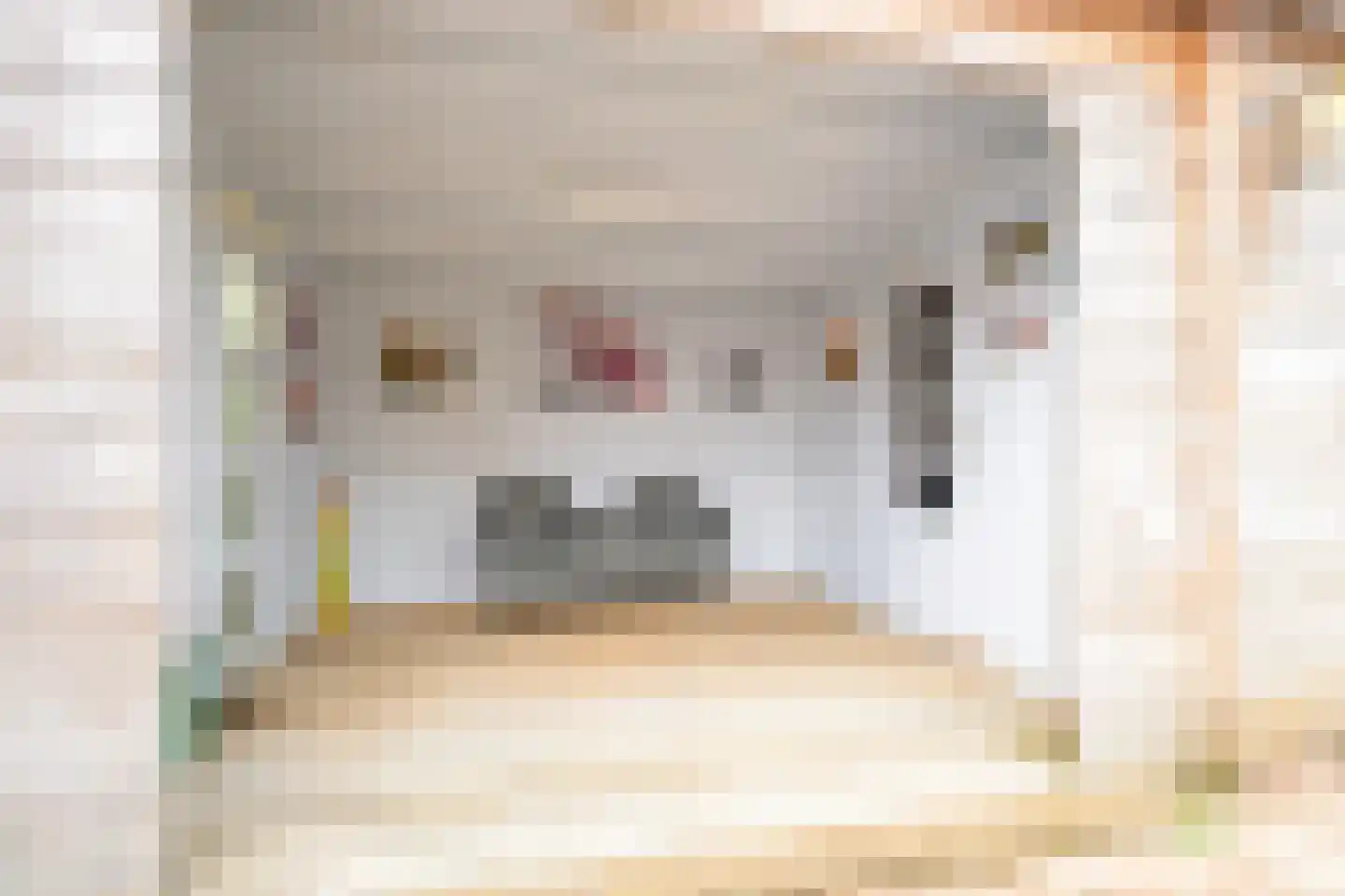 St.Laurentiusstraat 21 Hoogkarspel thumbnail 23