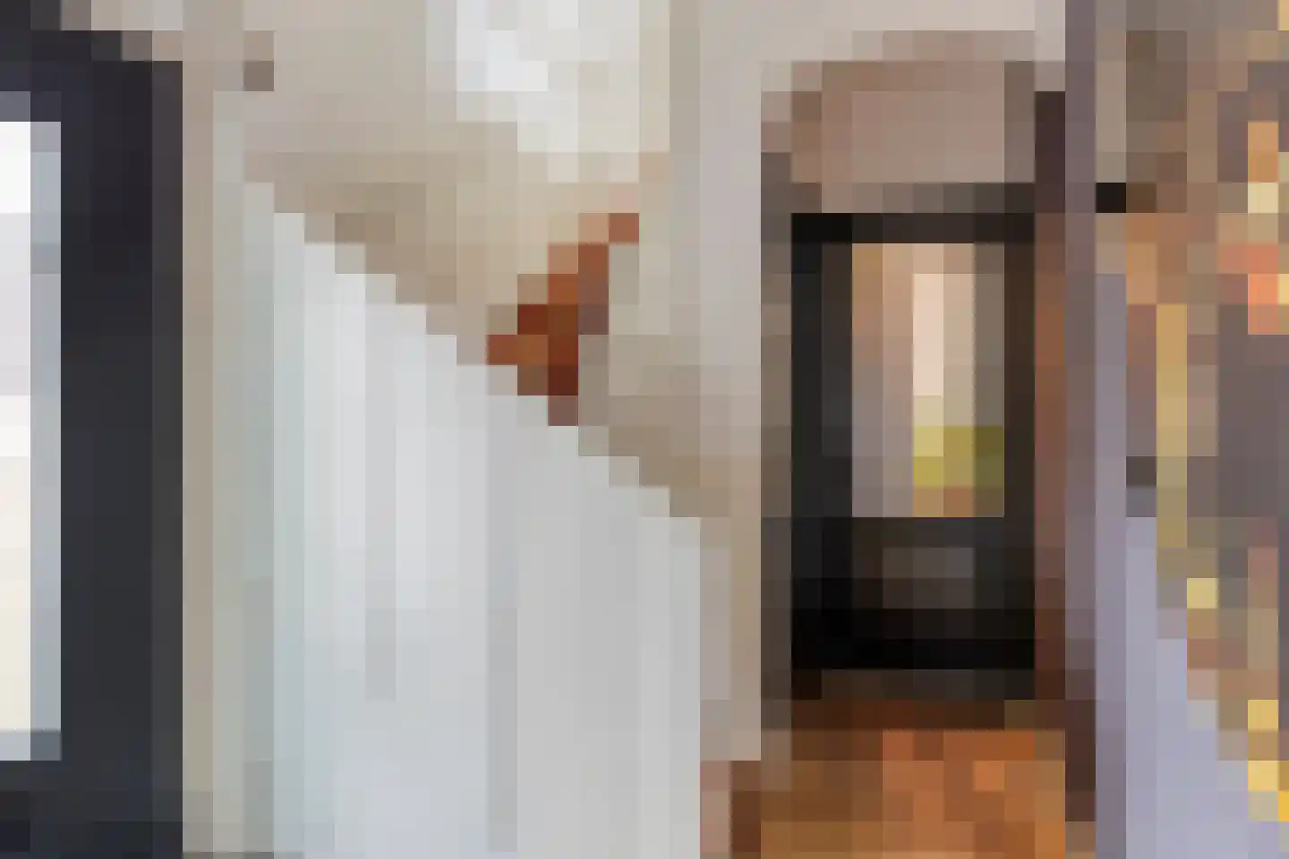 St Lebuinuslaan 20 Eindhoven thumbnail 5