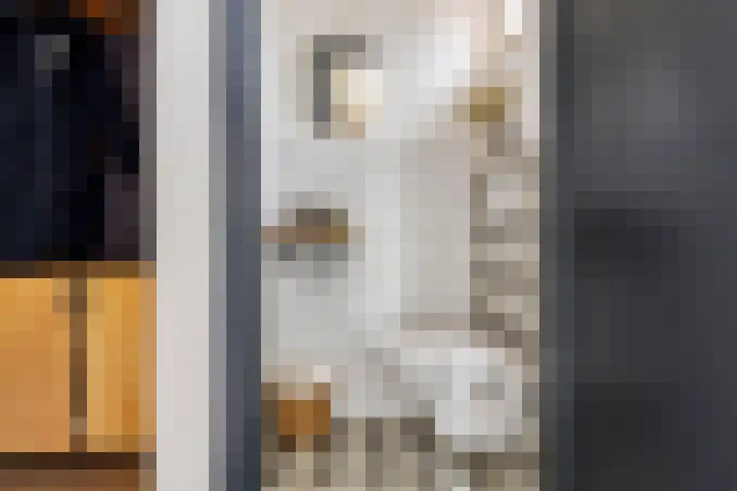 St Lebuinuslaan 20 Eindhoven thumbnail 7
