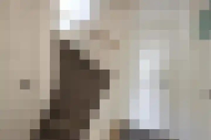 St Lebuinuslaan 36 Eindhoven thumbnail 10