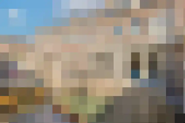 St Lebuinuslaan 36 Eindhoven thumbnail 39