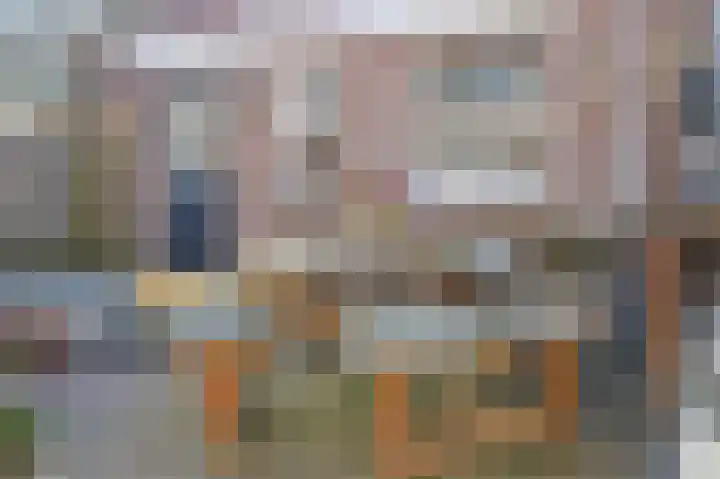 St Lebuinuslaan 36 Eindhoven thumbnail 41