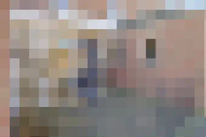 St Lebuinuslaan 36 Eindhoven thumbnail 7