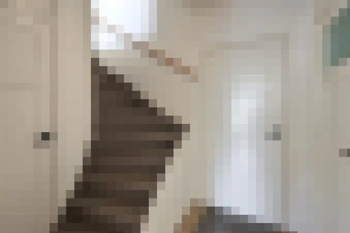 St Lebuinuslaan 36 Eindhoven thumbnail 8