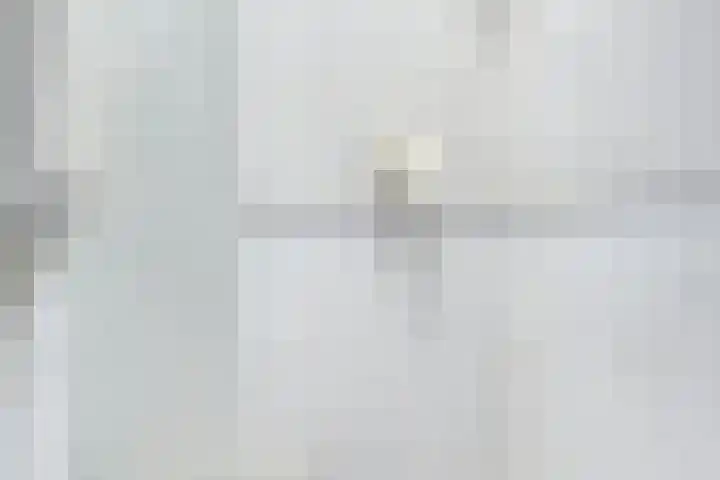 St Leonardusstraat 102 Eindhoven thumbnail 11