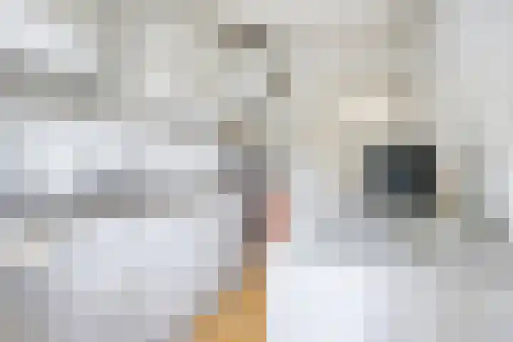 St Leonardusstraat 102 Eindhoven thumbnail 19
