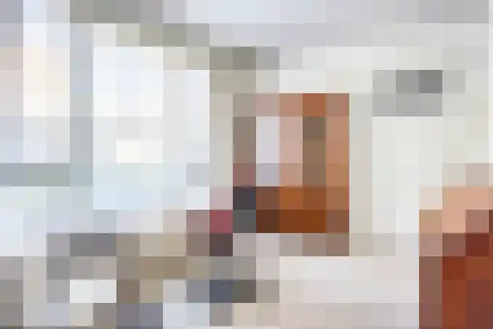 St Leonardusstraat 102 Eindhoven thumbnail 23
