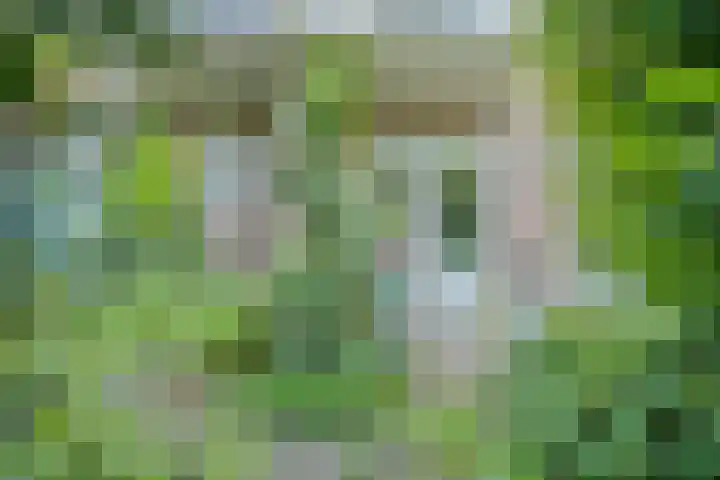 St Leonardusstraat 102 Eindhoven thumbnail 27