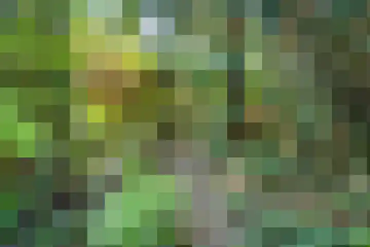 St Leonardusstraat 102 Eindhoven thumbnail 28