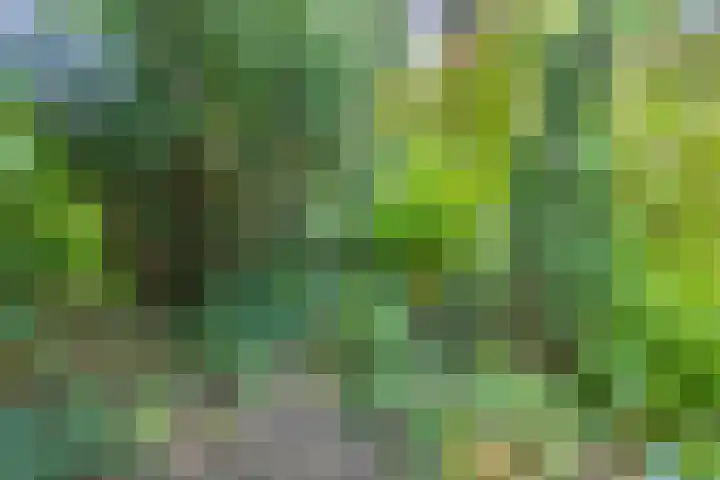 St Leonardusstraat 102 Eindhoven thumbnail 29