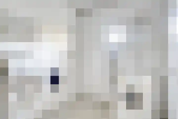 St Leonardusstraat 102 Eindhoven thumbnail 5