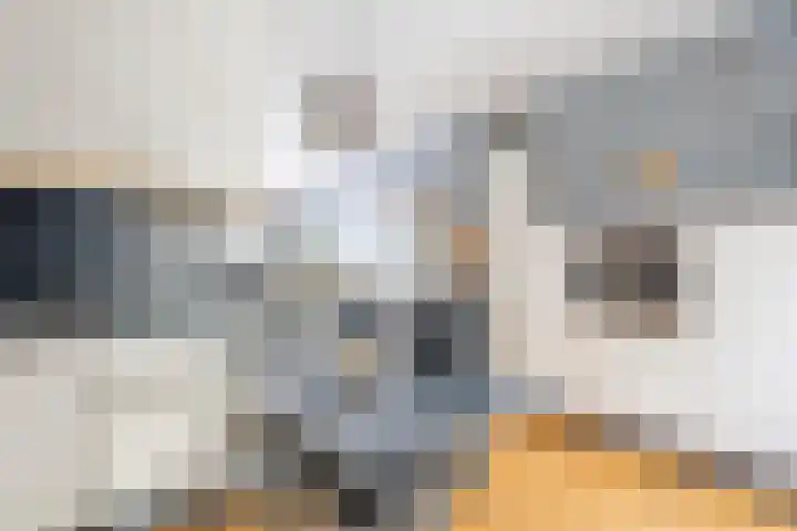 St.Leonardusstraat 33 Kerkrade thumbnail 6
