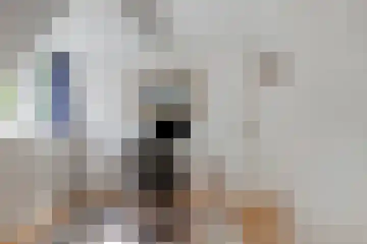 St Leonardusstraat 72 Eindhoven thumbnail 27