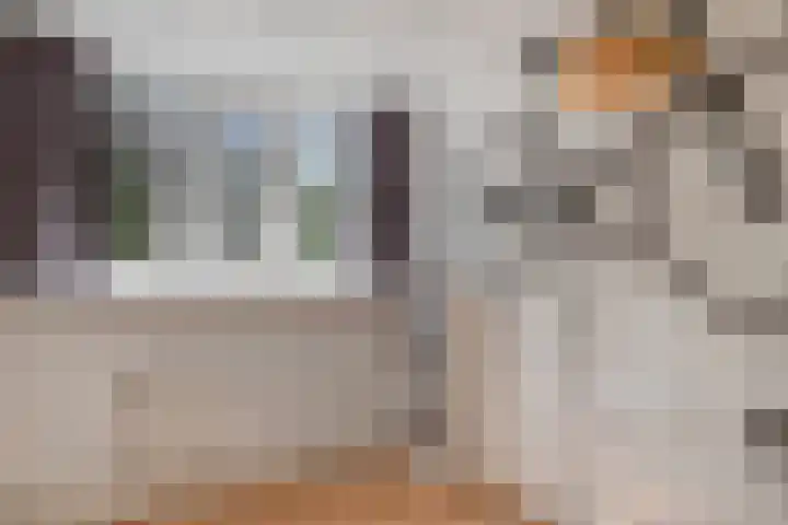St Leonardusstraat 72 Eindhoven thumbnail 28