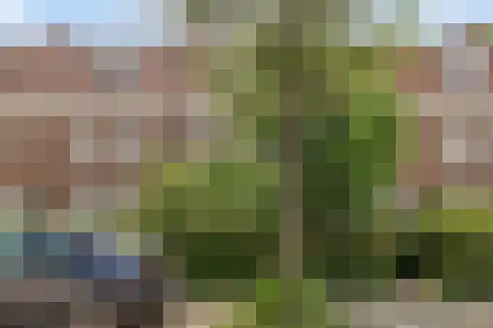 St Leonardusstraat 72 Eindhoven thumbnail 4