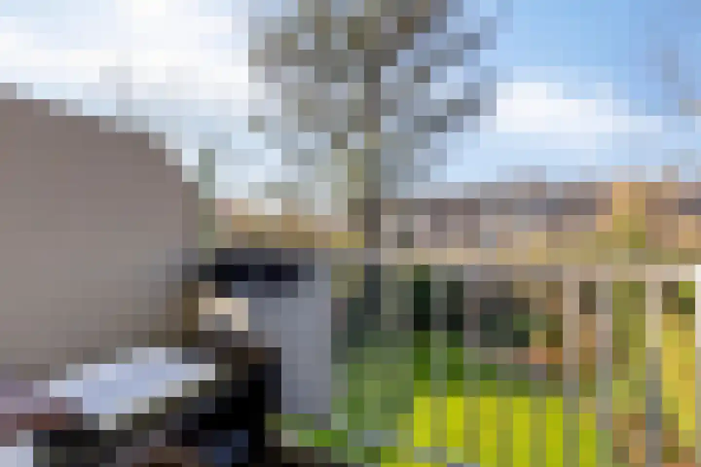St Leonardusstraat 86 Eindhoven thumbnail 13