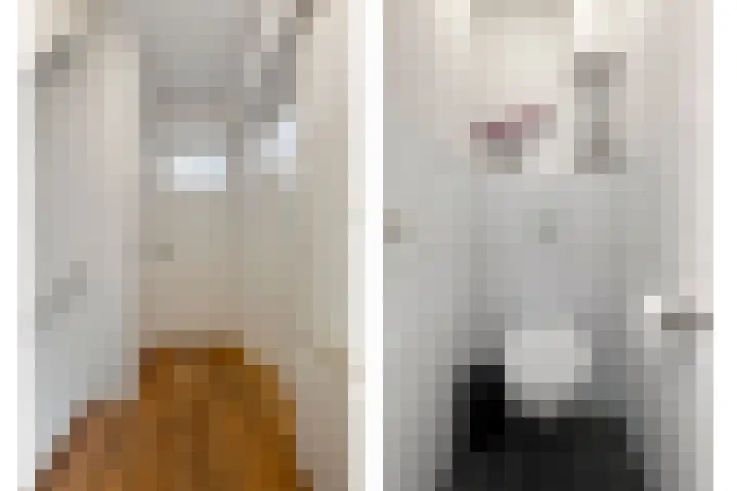 St Leonardusstraat 86 Eindhoven thumbnail 5